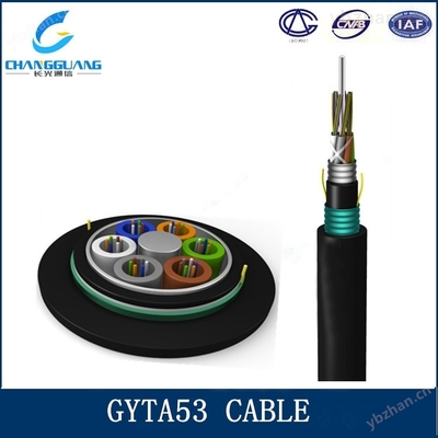 gyta53